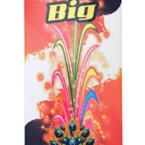 FLOWERPOT BIG 10PCS
