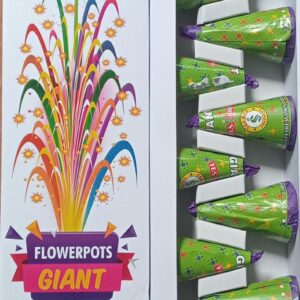 34. Varshini Special Flower Pots Giant - 10 pcs - 1Box